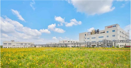 連續(xù)三年排名穩(wěn)步提升！中偉股份入選2025年中國(guó)民營(yíng)企業(yè)500強(qiáng)